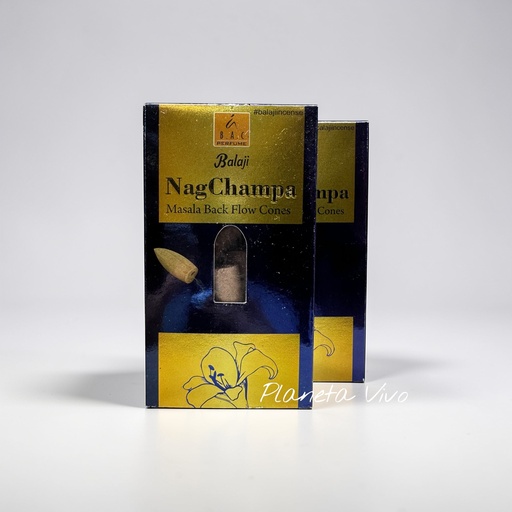 [04031.1] CONO REFLUJO BALAJI NAG CHAMPA