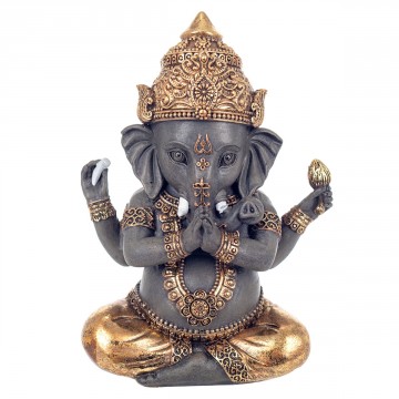 [24011] GANESH