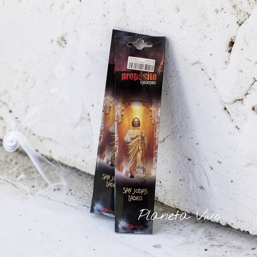 [YRIP-SJT] INC. PROPOSITO SAN JUDAS TADEO