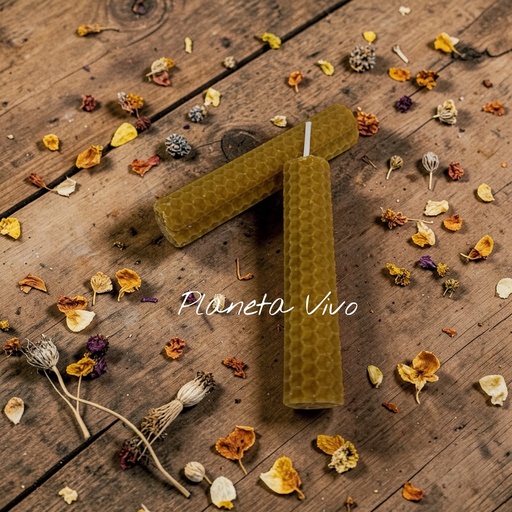 [09027] VELA PANAL PEQUEÑA