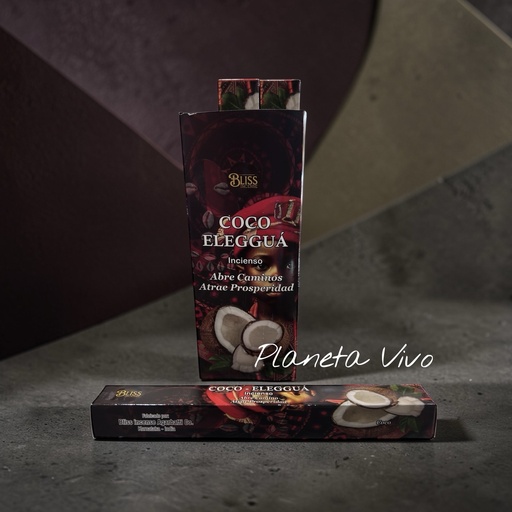 [50365.9] INCIENSO BLISS COCO ELEGUA